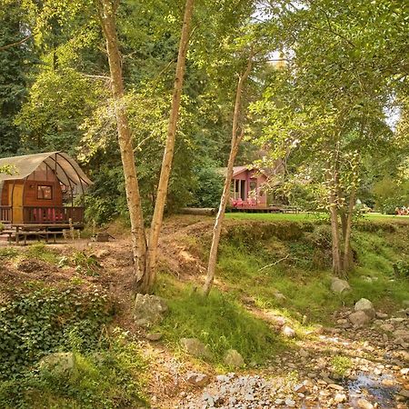 Big Sur Campground And Cabins Exteriör bild