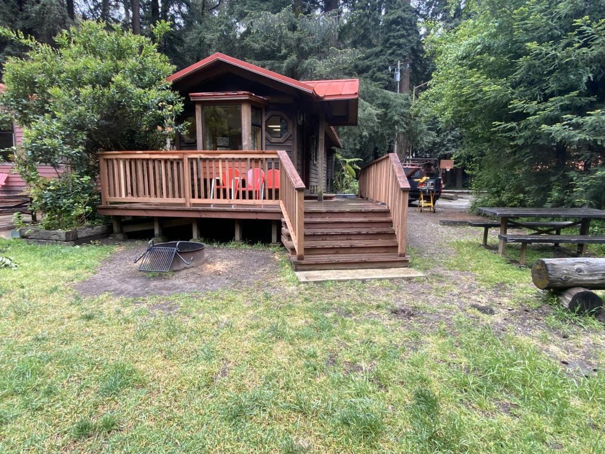 Big Sur Campground And Cabins Exteriör bild