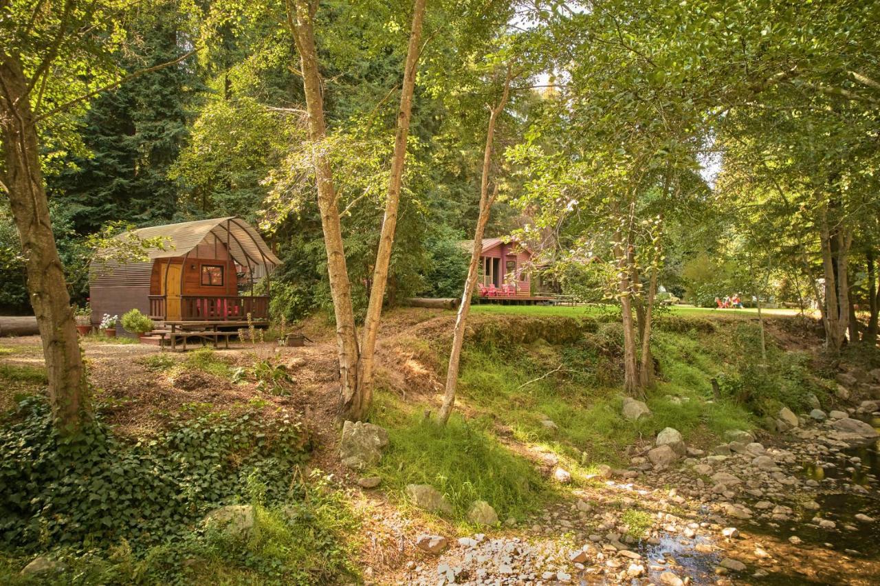 Big Sur Campground And Cabins Exteriör bild