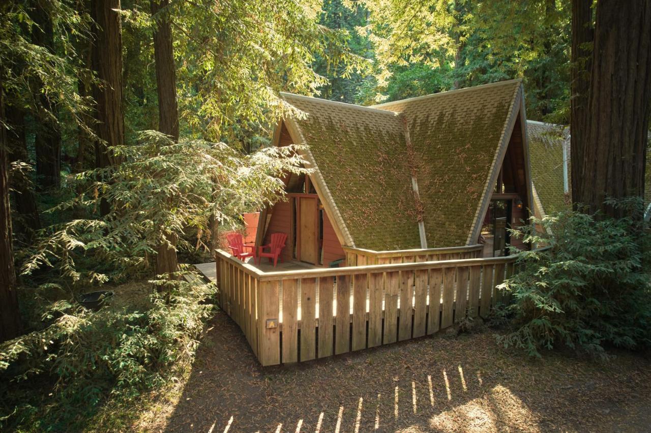Big Sur Campground And Cabins Exteriör bild