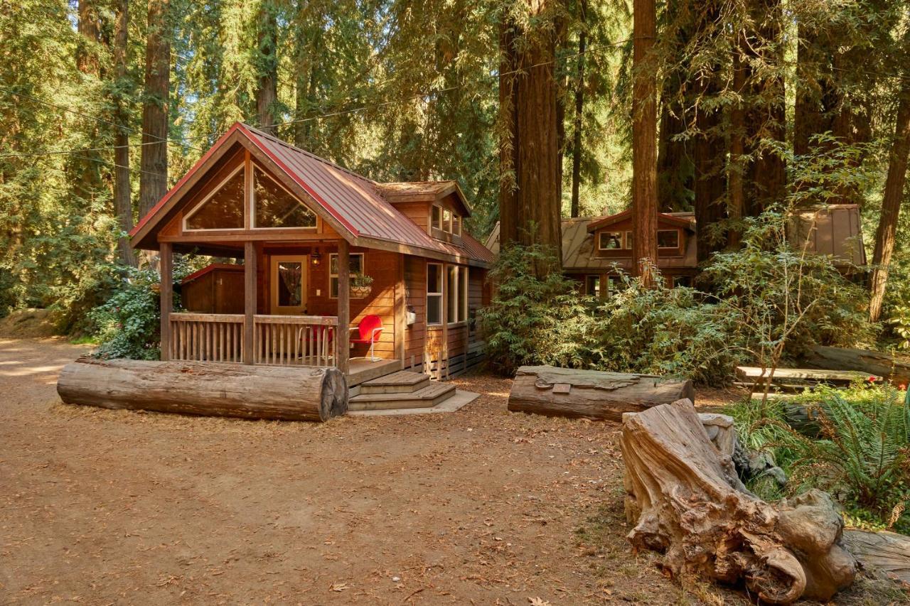 Big Sur Campground And Cabins Exteriör bild
